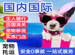 广州航空快递国际宠物托运 【国